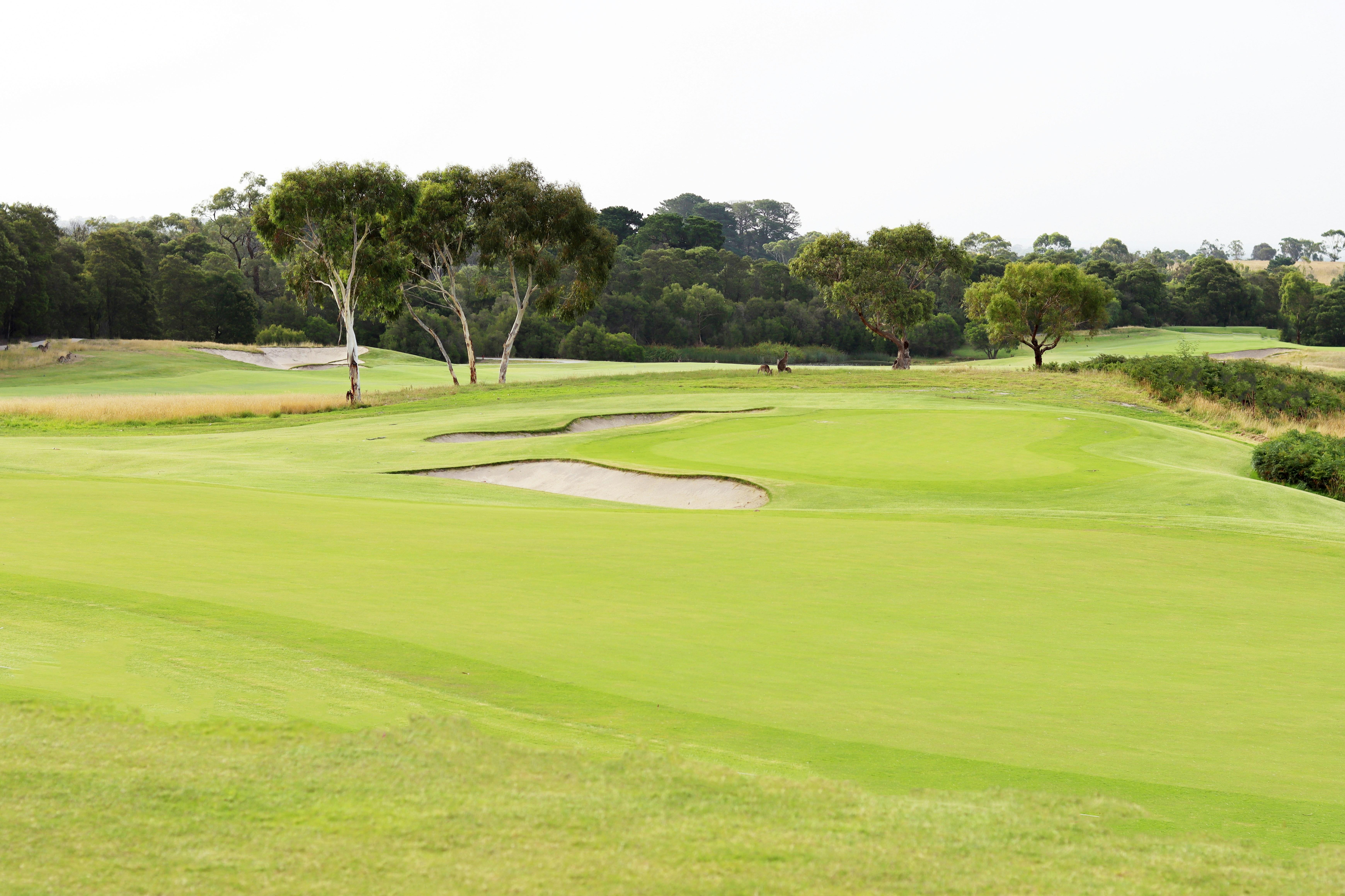 Golf Green